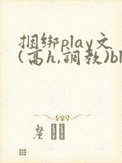捆绑play文(高h,调教)bl