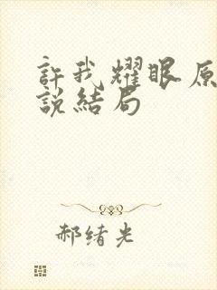 许我耀眼原著小说结局