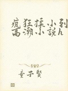 疯狂揉小到失禁高潮小说h