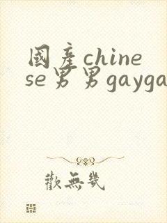 国产chinese男男gaygay网站在线观看