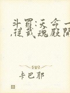 斗罗:天命一族,从武魂殿开始