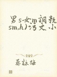 男s女m调教(sm,h)污文小说