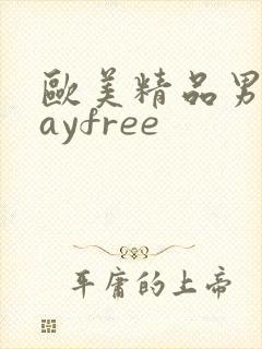 欧美精品男同gayfree