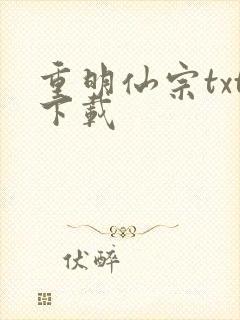 重明仙宗txt下载封面