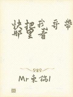 快把我哥带走从哪里看
