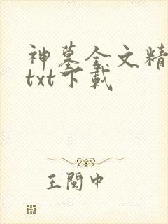 神墓全文精校版txt下载