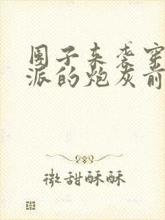 团子来袭穿成反派的炮灰前妻