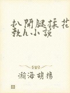 扒开腿揉花蒂调教h小说