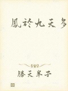 凤于九天多少字封面