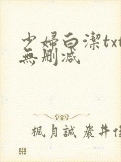 少妇白洁txt无删减