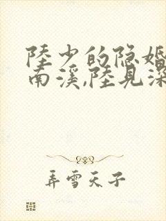 陆少的隐婚罪妻南溪,陆见深