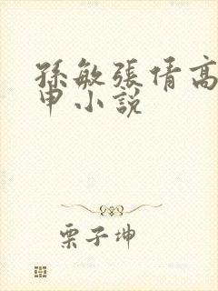孙敏张倩高义王申小说封面
