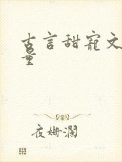 古言甜宠文高质量封面