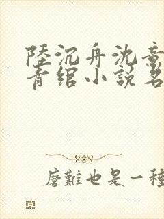 陆沉舟沈意欢林青绾小说名字叫什么封面