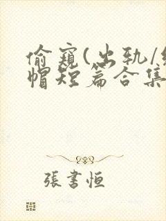偷窥(出轨/绿帽短篇合集)封面