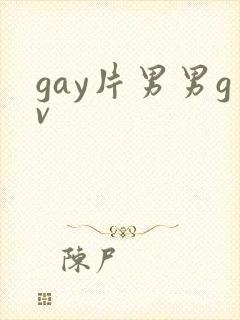 gay片男男gv