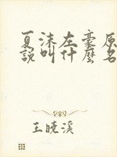 夏沫左豪原著小说叫什么名字封面