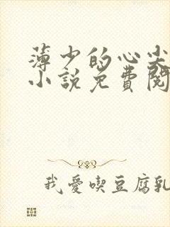 薄少的心尖宠儿小说免费阅读