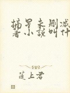摘星未删减版原著小说叫什么