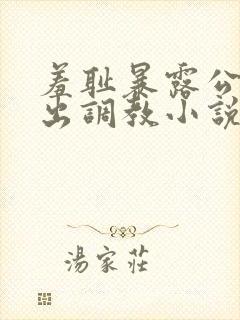 羞耻暴露公共露出调教小说