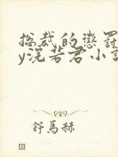 总裁的惩罚期by浣若君小说免费阅读