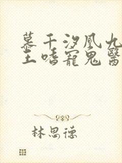 慕千汐凰九夜邪王嗜宠鬼医狂妃免费阅读封面