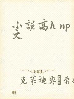 小说高h np文