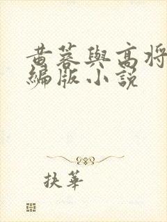 黄蓉与高将军改编版小说