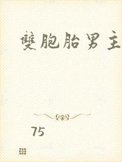 双胞胎男主小说