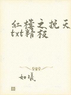 红楼之挽天倾无txt精校
