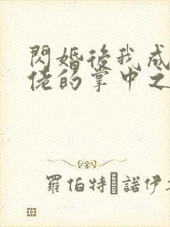 闪婚后我成了大佬的掌中之物17