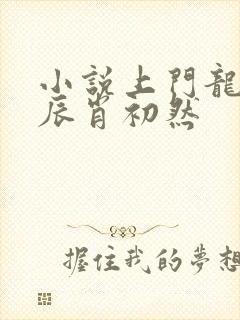 小说上门龙婿叶辰肖初然封面