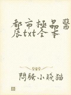 都市极品医神叶辰txt全本