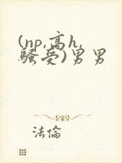 (np,高h,骚受)男男封面