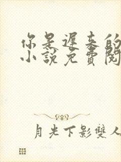 你是迟来的欢喜小说免费阅读无弹窗