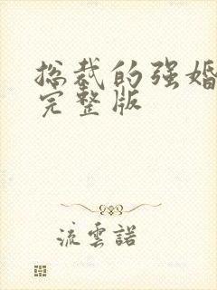 总裁的强婚蜜爱完整版封面