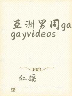 亚洲男同gaygayvideos