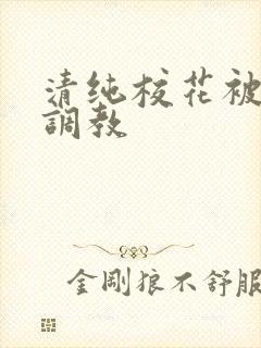 清纯校花被民工调教