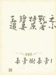 王牌特战之军少追妻原著小说