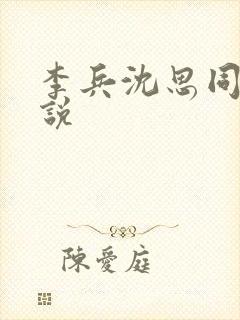 李兵沈思同款小说