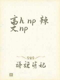 高h np 辣文np封面