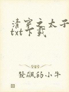 清穿之太子娇妃txt下载封面
