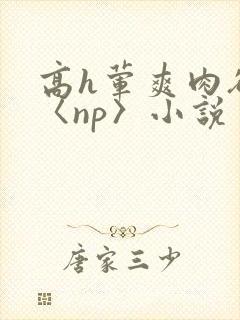 高h荤爽肉欲文〈np〉小说