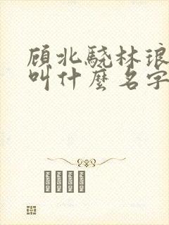 顾北骁林琅小说叫什么名字