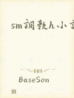 sm调教h小说