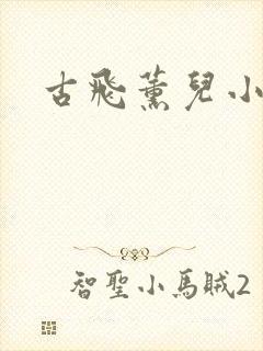 古飞薰儿小说
