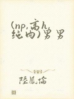 (np,高h,纯肉)男男