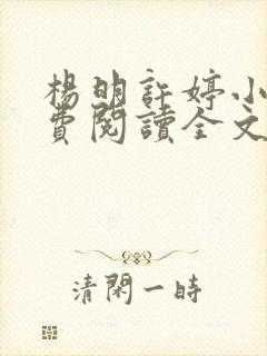 杨明许婷小说免费阅读全文最新章节