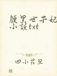 腹黑世子妃日常小说txt