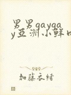 男男gaygay亚洲小鲜肉网站